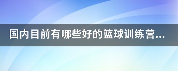 东莞篮球训练营报名价钱